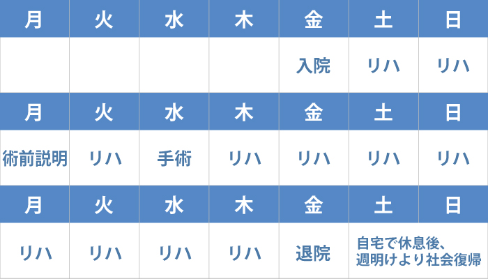 入院プログラムの日程（初回入院・具体例）